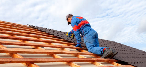 Best Roof Moss and Algae Removal  in San Carlos Park, FL
